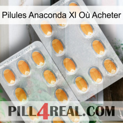 Pilules Anaconda Xl Où Acheter cialis4
